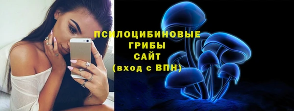 амфетамин Белокуриха